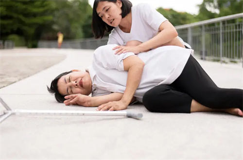 详细介绍