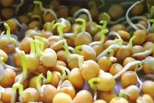 细节描述