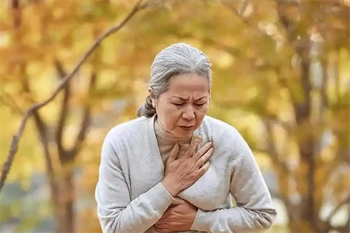 详细介绍