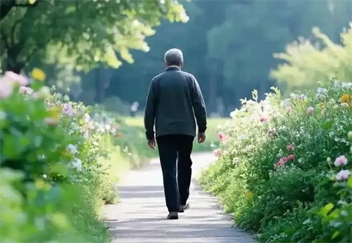 详细介绍
