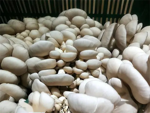 细节展示