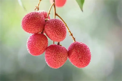 细节介绍
