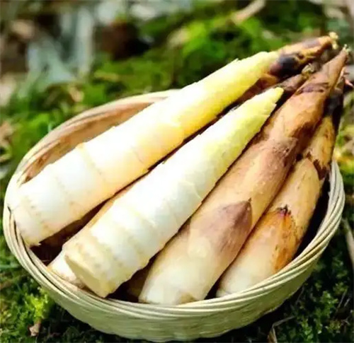 细节呈现