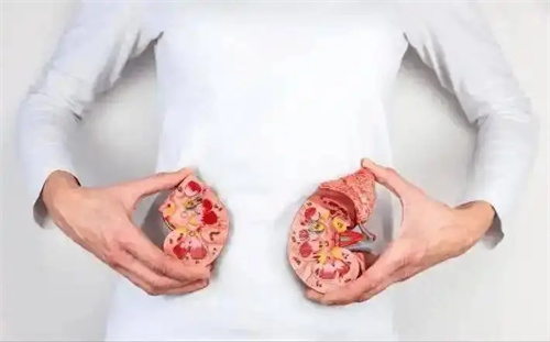 细节介绍