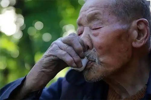 细节介绍