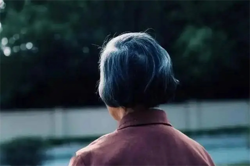 详细介绍