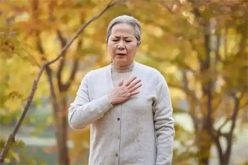 详细描述