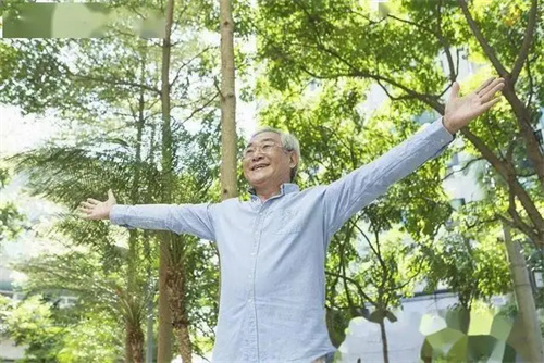 详细描述