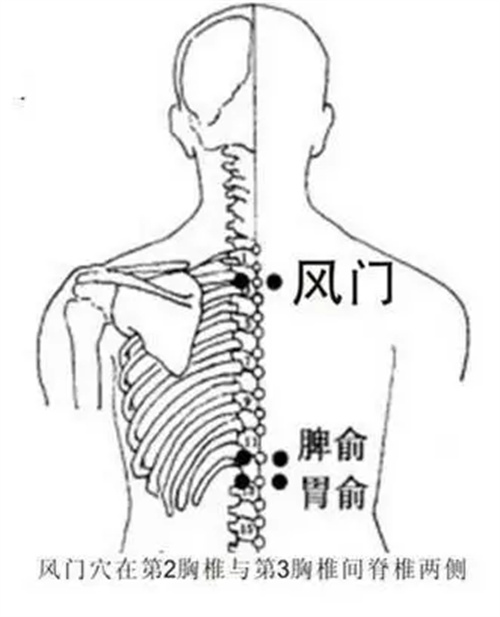 细节介绍