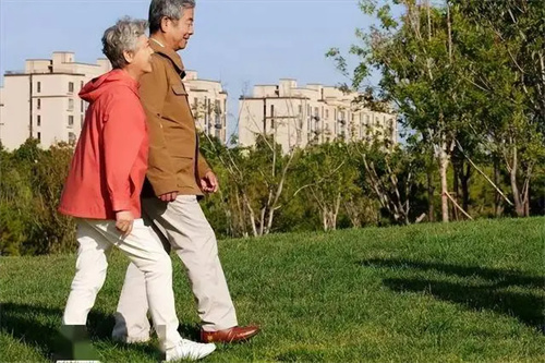 详细描述