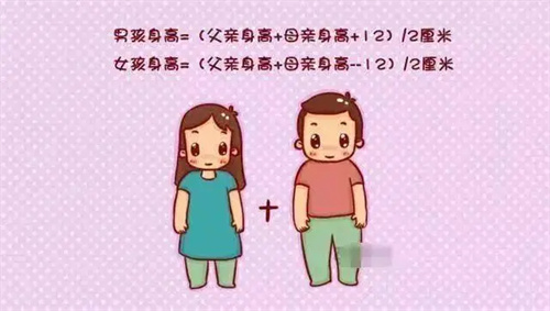 详细描述