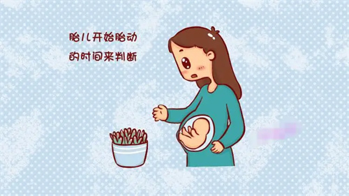 详细介绍