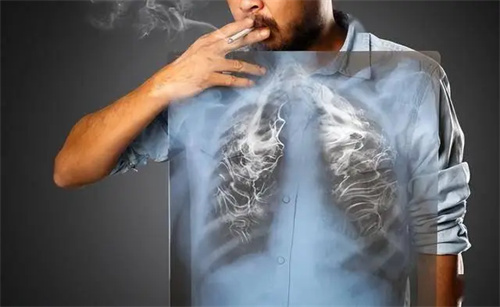 详细介绍
