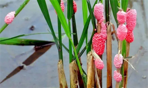 细节呈现