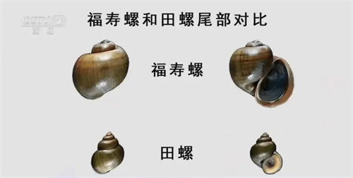 详细介绍