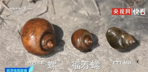 详细描述