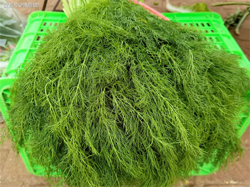 详细介绍