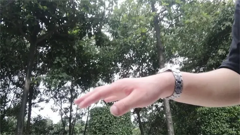细节介绍