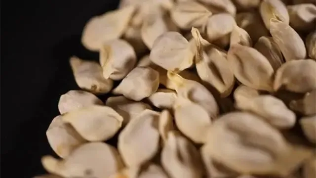 详细说明